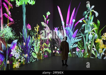 191213 -- CHANGSHA, Dec. 13, 2019 -- A woman visits a multimedia art show in Changsha Meixi Lake International Culture and Arts Center in Changsha, central China s Hunan Province, Dec. 12, 2019. The interactive art show combines technology and art, attracting many visitors.  CHINA-CHANGSHA-MULTIMEDIA ART SHOW CN XuexYuge PUBLICATIONxNOTxINxCHN Stock Photo