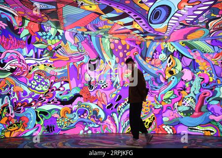 191213 -- CHANGSHA, Dec. 13, 2019 -- A man visits a multimedia art show in Changsha Meixi Lake International Culture and Arts Center in Changsha, central China s Hunan Province, Dec. 12, 2019. The interactive art show combines technology and art, attracting many visitors.  CHINA-CHANGSHA-MULTIMEDIA ART SHOW CN XuexYuge PUBLICATIONxNOTxINxCHN Stock Photo