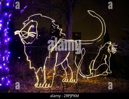 191217 -- CHICAGO, Dec. 17, 2019 -- An installation depicting a lion and a lioness is on display at the Lincoln Park Zoo s Zoolights in Chicago, the United States, on Dec. 16, 2019. Zoolights is an annual event to greet Christmas and the New Year. Photo by Joel Lerner/Xinhua U.S.-CHICAGO-LINCOLN PARK ZOO-LIGHTS WangxPing PUBLICATIONxNOTxINxCHN Stock Photo
