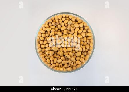 dry seeds in plate on white background view from above. grain crops. soy Stock Photo