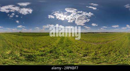 360 degree panoramic view of spherical 360 hdri panorama among green grass farming field with clouds on blue sky in equirectangular seamless projection, use as sky replacement, ga