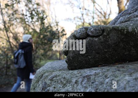 200107 -- BOMARZO, Jan. 7, 2020 -- A woman walks in the Park of Monsters in Bomarzo, Italy, Jan. 3, 2020. Bomarzo, a village in Lazio at the foot of Mount Cimino, possesses a unique work, the Villa of Marvels, also called the Sacred Wood or Park of Monsters. lt was designed by Duke of Bomarzo, Vicino Orsini and architect Pirro Ligorio in 1552.This ltalian style garden follows geometric and perspective rationality with embellishments such as wide terraces, fountains with water games and mannerist sculptures.  ITALY-BOMARZO-PARK OF MONSTERS ChengxTingting PUBLICATIONxNOTxINxCHN Stock Photo