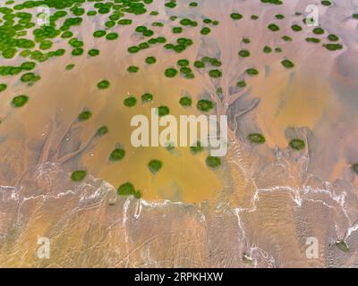 Aerial photo shows the tidal-flat presenting a landscape of forests at ...