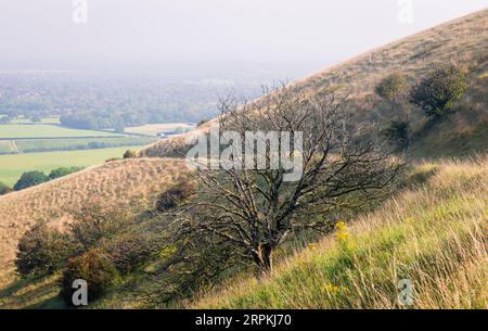 hazy misty humid late summer morning descending Ditchling beacon on the south downs in east Sussex south east England UK Stock Photo