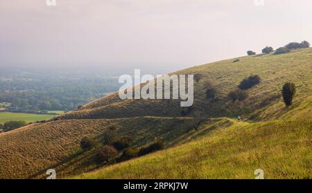 hazy misty humid late summer morning descending Ditchling beacon on the south downs in east Sussex south east England UK Stock Photo