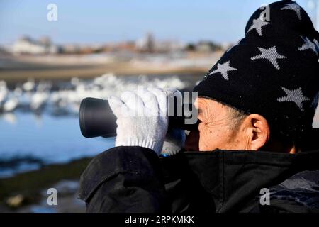 200114 -- RONGCHENG, Jan. 14, 2020 -- Liu Zhibin observes whooper swans with a telescope at Swan Lake Managerial Station in the national nature reserve for whooper swans in Rongcheng City, east China s Shandong Province, Jan. 11, 2020. Come, come to eat Liu Zhibin and his wife Zhao Shuzhi called whooper swans while blowing their whistles. Every year from November to March of the following year, these whooper swans fly from Siberia to Rongcheng City, east China s Shandong Province, to spend the winter. After retiring in 2015, the Lius came to Rongcheng City from Qiqihar City, northeast China s Stock Photo
