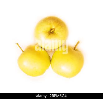 wet golden apples isolated on white Stock Photo