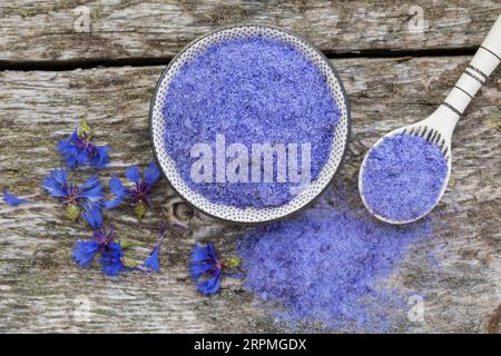 blue sailors, common chicory, wild succory (Cichorium intybus), selfmade sailor salt Stock Photo