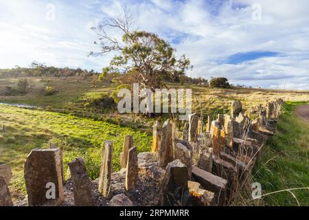 The famous Spiky Bridge and surrounding landscape built by convicts in mid 19th century near Swansea in Tasmania, Australia Stock Photo