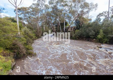 MELBOURNE, AUSTRALIA, OCTOBER 14: Darebin Parklands heavily flooded on October 14, 2022 in Victoria, Australia. La Nina weather pattern contributing Stock Photo