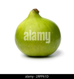 Single fresh green fig isolated on white background close up Stock Photo