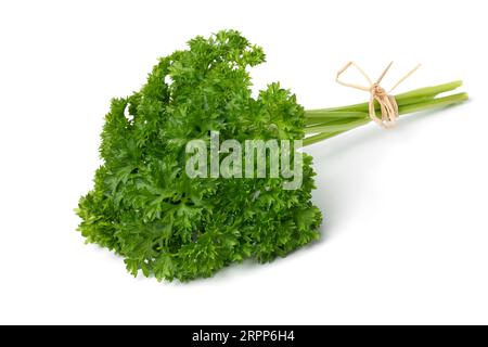 Bunch of fresh green curly leaf parsley close up isolated on white background Stock Photo