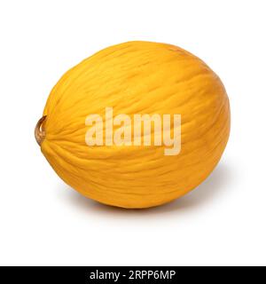 Single fresh ripe Honeydew melon close up isolated on white background Stock Photo