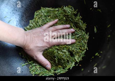 200318 -- HANGZHOU, March 18, 2020 -- A villager processes tea leaves in Longjing Village of Hangzhou, east China s Zhejiang Province, March 18, 2020. Farmers and tea-picking workers have started to harvest the first batch of Xihu Longjing, or the West Lake Dragon Well tea, in Hangzhou. Zhejiang Province, a major tea production base in east China, has adopted big data to accurately forecast the proper time for harvesting tea leaves to mitigate the impact of labor shortage caused by the epidemic.  CHINA-HANGZHOU-XIHU LONGJING TEA-HARVEST CN HuangxZongzhi PUBLICATIONxNOTxINxCHN Stock Photo