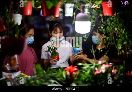 200326 -- HAIKOU, March 26, 2020 -- People buy plants at a night market in Haikou, capital of south China s Hainan Province, March 26, 2020. South China s island province of Hainan on Tuesday reduced its existing number of cases of novel coronavirus disease COVID-19 to zero. People s life here is gradually returning to normal.  CHINA-HAINAN-HAIKOU-LIFE-BACK TO NORMAL CN GuoxCheng PUBLICATIONxNOTxINxCHN Stock Photo