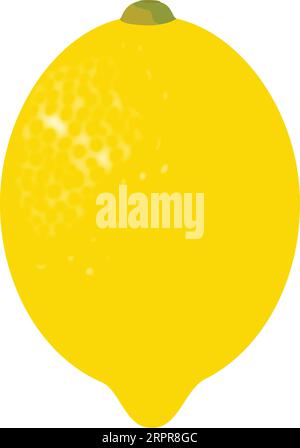 Lemon Fruit Stock Vector