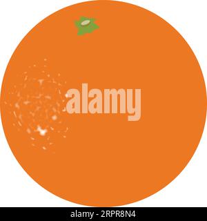 Orange Fruit Stock Vector