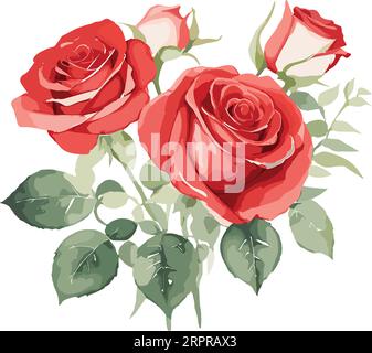 watercolor Rose bouquet, floral illustration, leaves, and buds