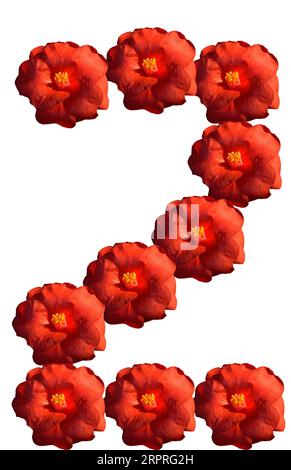 Colorful number 2 handcrafted red camellia blossoms with yellow stamen, creating artful impacting meaning to your message, on white background. Stock Photo