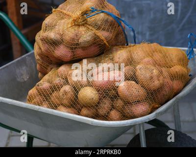 Large sacks of potatoes in a wheelbarrow. Close up. Stock Photo