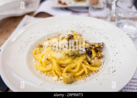 Fresh yellow heavy yolk Italian homemade fettucine pasta with truffles and sun dried tomatoes and an alfredo cream sauce Stock Photo