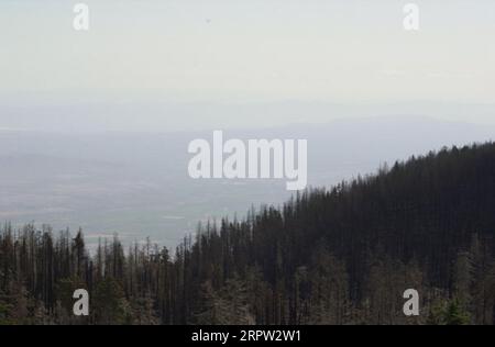 Coronado National Forest in vicinity of Mount Graham International ...