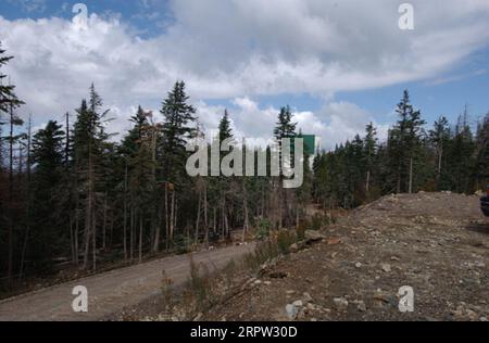Coronado National Forest in vicinity of Mount Graham International ...