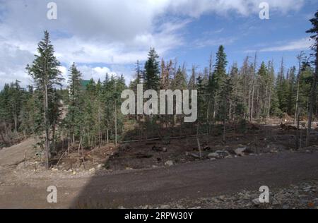 Coronado National Forest in vicinity of Mount Graham International ...