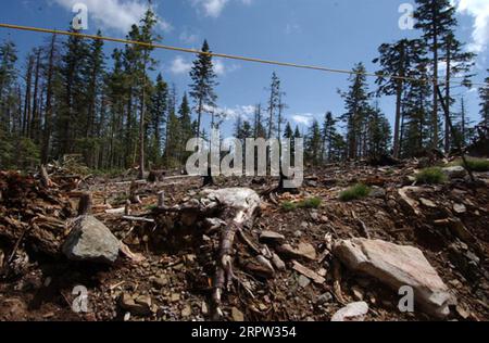 Coronado National Forest in vicinity of Mount Graham International ...