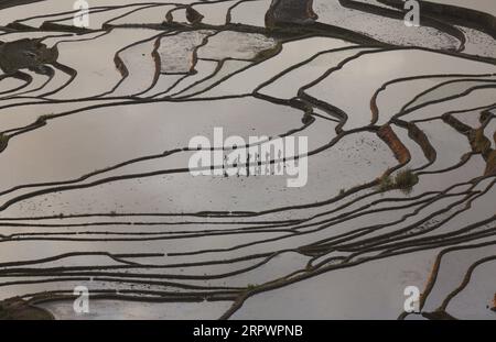 200430 -- BEIJING, April 30, 2020 -- Farmers walk in the terraced fields in Yuanyang County of Honghe Hani and Yi Autonomous Prefecture, southwest China s Yunnan Province, April 29, 2020. Photo by /Xinhua XINHUA PHOTOS OF THE DAY LiangxZhiqiang PUBLICATIONxNOTxINxCHN Stock Photo