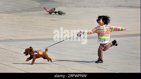 200430 -- BEIJING, April 30, 2020 -- A girl walks a dog in Benxi, northeast China s Liaoning Province, April 29, 2020.  XINHUA PHOTOS OF THE DAY YaoxJianfeng PUBLICATIONxNOTxINxCHN Stock Photo