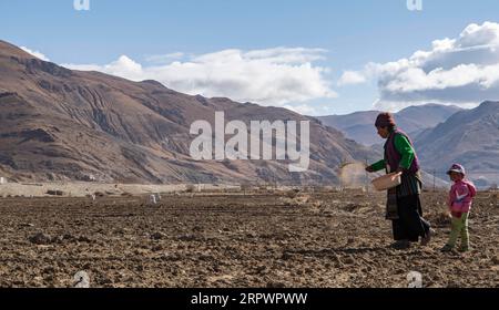200430 -- BEIJING, April 30, 2020 -- A villager works on a field in Zhaxizom Township in Tingri County, southwest China s Tibet Autonomous Region, April 25, 2020.  XINHUA PHOTOS OF THE DAY SunxFei PUBLICATIONxNOTxINxCHN Stock Photo