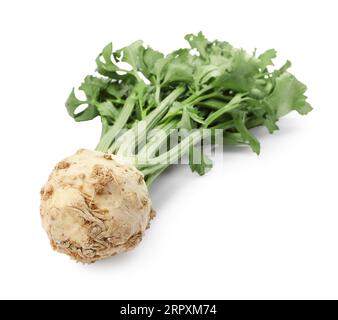Fresh raw celery root with stalks isolated on white Stock Photo