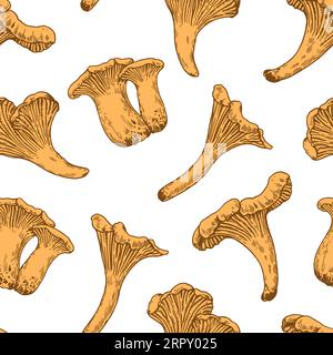 Seamless pattern with chanterelle mushrooms in retro engraving style. Vintage detailed hand-drawn print for design and textile. Stock Vector