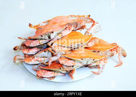 Cooked crab in the dish, closeup of photo Stock Photo