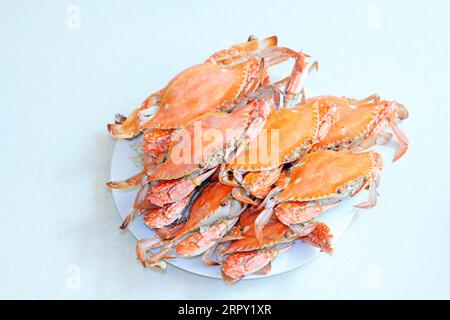 Cooked crab in the dish, closeup of photo Stock Photo