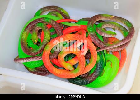 Plastic snake head hi res stock photography and images Alamy