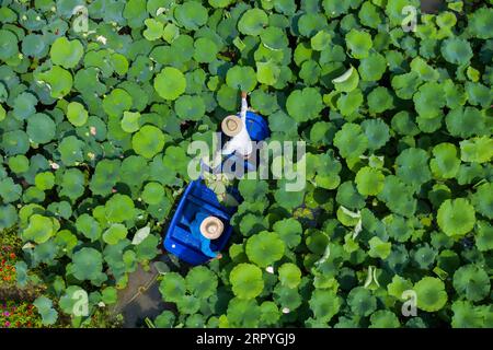 200702 -- BEIJING, July 2, 2020 -- Aerial photo taken on July 1, 2020 shows villagers picking lotus leaves and flowers at Maming Village, Tongxiang City, east China s Zhejiang Province.  XINHUA PHOTOS OF THE DAY XuxYu PUBLICATIONxNOTxINxCHN Stock Photo