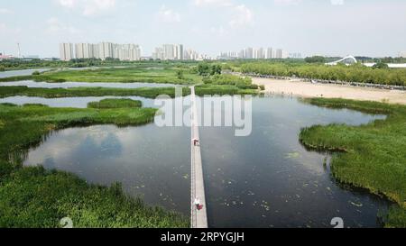 200702 -- BEIJING, July 2, 2020 -- Aerial photo taken on July 1, 2020 shows people visiting a wetland park in Harbin, northeast China s Heilongjiang Province.  XINHUA PHOTOS OF THE DAY WangxJianwei PUBLICATIONxNOTxINxCHN Stock Photo