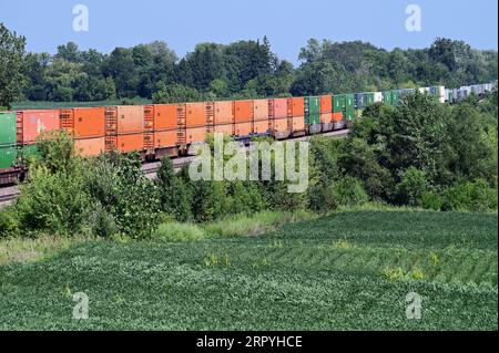 La Fox, Illinois, USA. A Union Pacific Railroad intermodal freight train splices through fields of crops in rural Illinois. Stock Photo