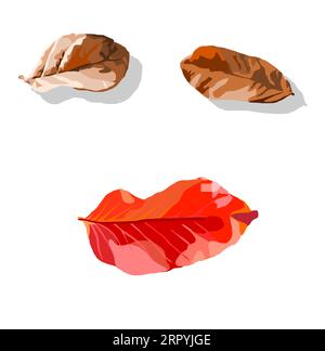 Happy face from leaves is smiling in autumn , Vector graphics of Emotions on human face were modeled by from leaf isolated on white background Stock Vector