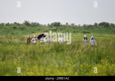 200722 -- ZHENGLAN BANNER, July 22, 2020 -- Photo taken on July 22, 2020 shows people visiting the Jinlianchuan Pasture in Zhenglan Banner of Xilingol League, north China s Inner Mongolia Autonomous Region.  CHINA-INNER MONGOLIA-XILINGOL LEAGUE-PASTURE CN LiuxLei PUBLICATIONxNOTxINxCHN Stock Photo