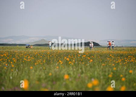 200722 -- ZHENGLAN BANNER, July 22, 2020 -- Photo taken on July 22, 2020 shows people visiting the Jinlianchuan Pasture in Zhenglan Banner of Xilingol League, north China s Inner Mongolia Autonomous Region.  CHINA-INNER MONGOLIA-XILINGOL LEAGUE-PASTURE CN LiuxLei PUBLICATIONxNOTxINxCHN Stock Photo