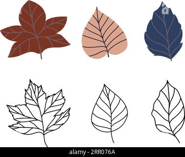 Set of vector illustration of leaves of maple, oak, birch in cozy autumn colors. Isolated objects for scrapbooking, textile or book covers, wallpapers Stock Vector