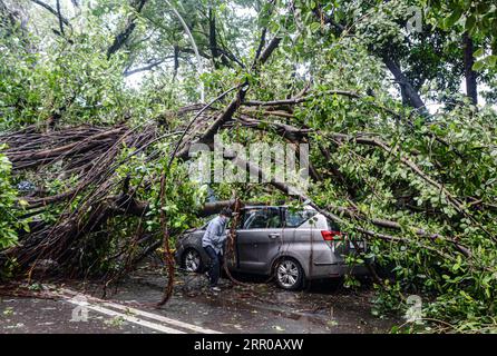 200806 -- MUMBAI, Aug. 6, 2020  -- A damaged car is seen under fallen trees after a rain-triggered landslide in Mumbai, India, Aug. 6, 2020. Str/ INDIA-MUMBAI-HEAVY RAINFALL Xinhua PUBLICATIONxNOTxINxCHN Stock Photo