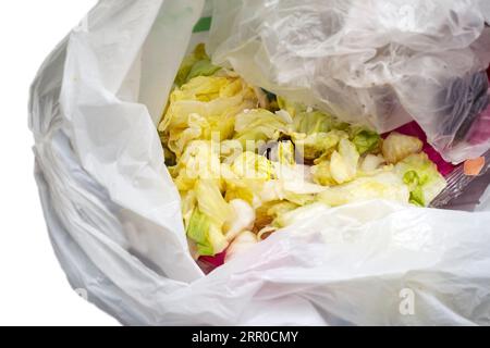 spoiled green salad in a plastic bag, still life isolated on white Stock Photo