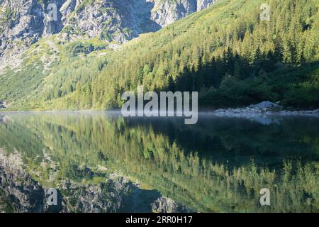 Detail on still alpine tarn reflecting its surrounding during early morning, Poland, Europe Stock Photo