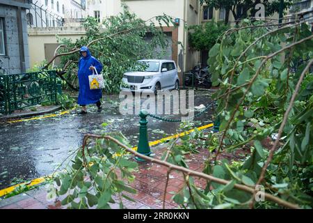 200819 -- MACAO, Aug. 19, 2020 Xinhua -- A pedestrian walks past fallen trees in Macao, south China, Aug. 19, 2020. China s Macao Special Administrative Region has downgraded its typhoon signal from highest No.10 level to No.8 on Wednesday at 7:30 a.m. local time, but the low-lying areas near the coastline were flooded, as Typhoon Higos had made landfall in the neighboring city of Zhuhai in the morning. Macao Meteorological and Geophysical Bureau had upgraded its typhoon signal to No.10 level on Wednesday at 5:00 a.m. local time, before downgrading it to No.8 later on. The red storm surge warn Stock Photo