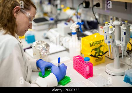 200828 -- SYDNEY, Aug. 28, 2020  -- File photo taken on April 1, 2020 shows a researcher working at a lab of University of Queensland UQ in Brisbane, Australia. An Australian-developed COVID-19 vaccine has shown promising results in pre-clinical testing, raising hopes for its potential effectiveness and manufacturability. UQ released detailed results of animal trials of its vaccine candidate on Tuesday to the International Society for Vaccines. It s Molecular Clamp vaccine works by locking on to the normally unstable, perfusion proteins on the surface of the virus, allowing the body s immune s Stock Photo