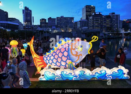 200830 -- WELLINGTON, Aug. 30, 2020 -- Visitors gather around a carp-shaped lantern during the 5th Wellington Lantern Festival in Wellington, New Zealand, Feb. 14, 2020. Wellington has been named New Zealand s best destination in the Lonely Planet guidebook, with the city branded one of the coolest little capitals in the world .  CitySketchNEW ZEALAND-WELLINGTON GuoxLei PUBLICATIONxNOTxINxCHN Stock Photo